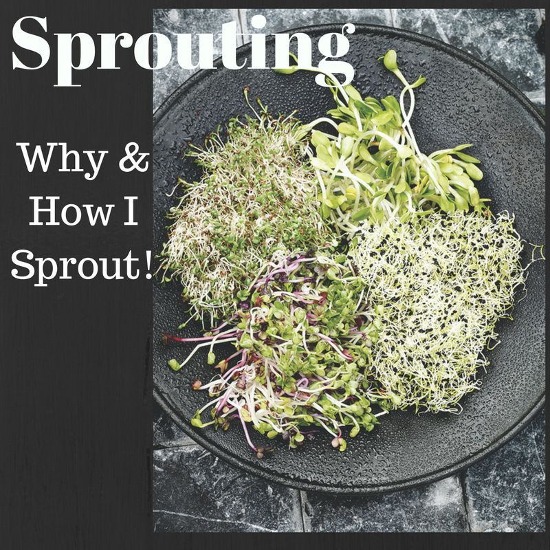 Why & How to Sprout Seeds