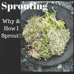 Why & How to Sprout Seeds